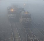NS 7683